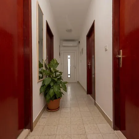 Spacious Zivkovic With Balcony, Big Garden And Grill Apartment